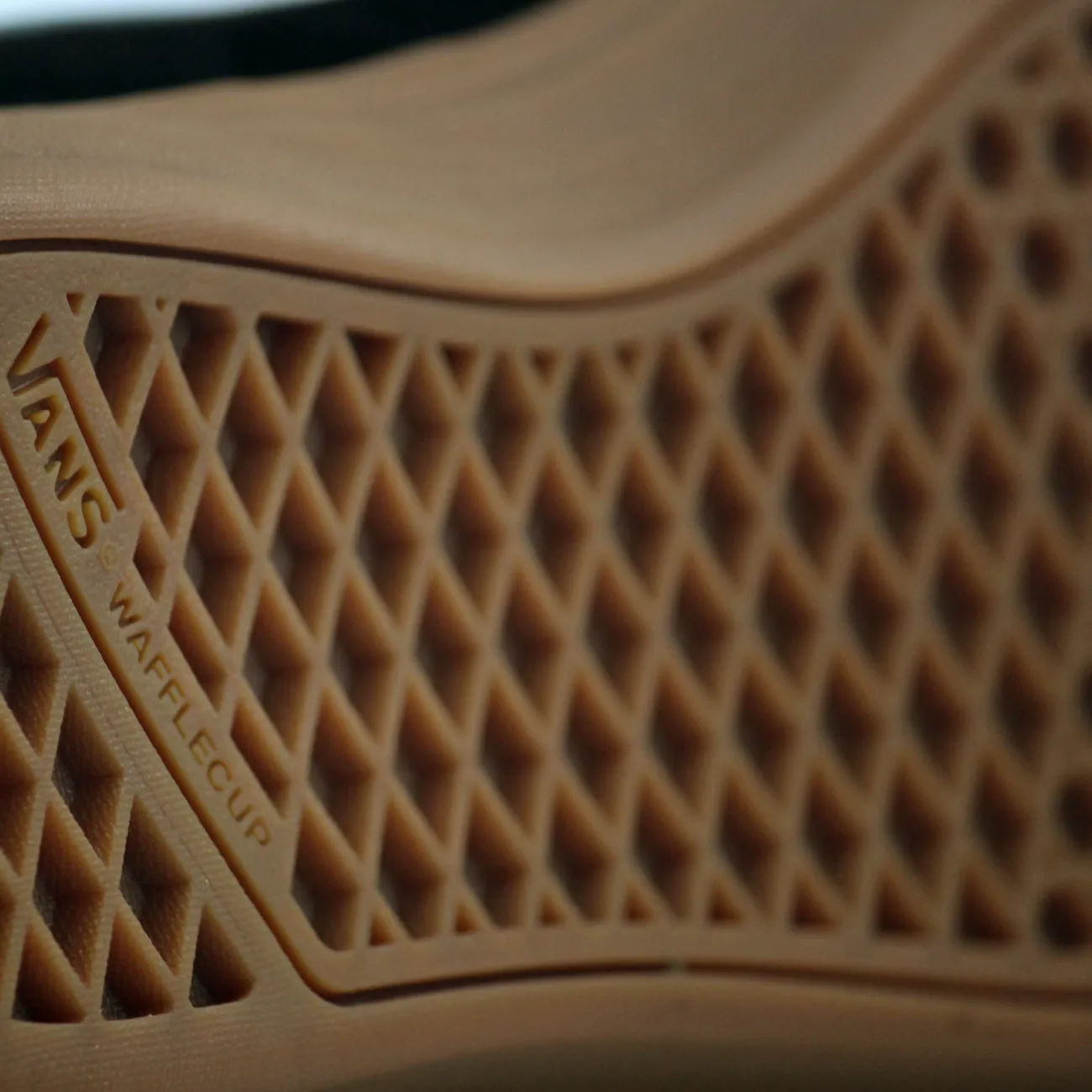 VANS KYLE WALKER PRO